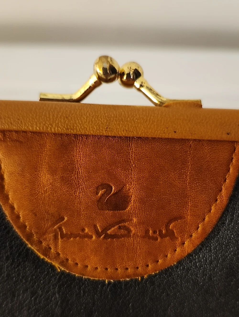 Fossil Dawson Crossbody (New) w/Free Gloria Vanderbilt Change Purse